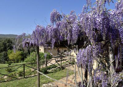 lemascie_esterni_giardino_piscina-011