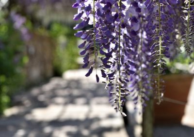 lemascie_esterni_giardino_piscina-023