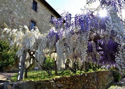 lemascie_esterni_giardino_piscina-033