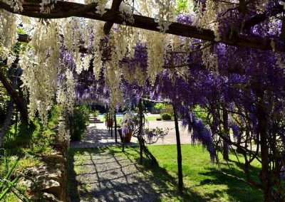 lemascie_esterni_giardino_piscina-037