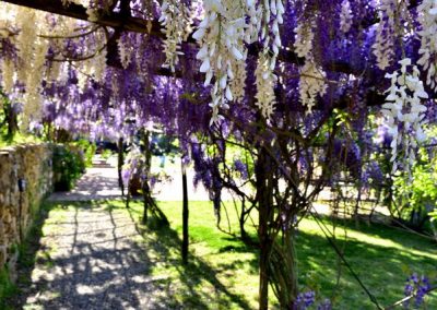 lemascie_esterni_giardino_piscina-038