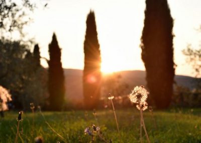 lemascie_esterni_giardino_piscina-045