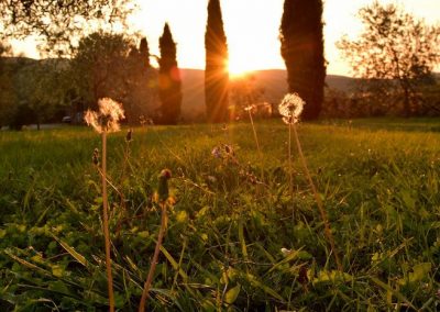 lemascie_esterni_giardino_piscina-047