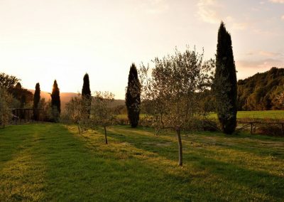 lemascie_esterni_giardino_piscina-051