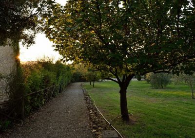 lemascie_esterni_giardino_piscina-053